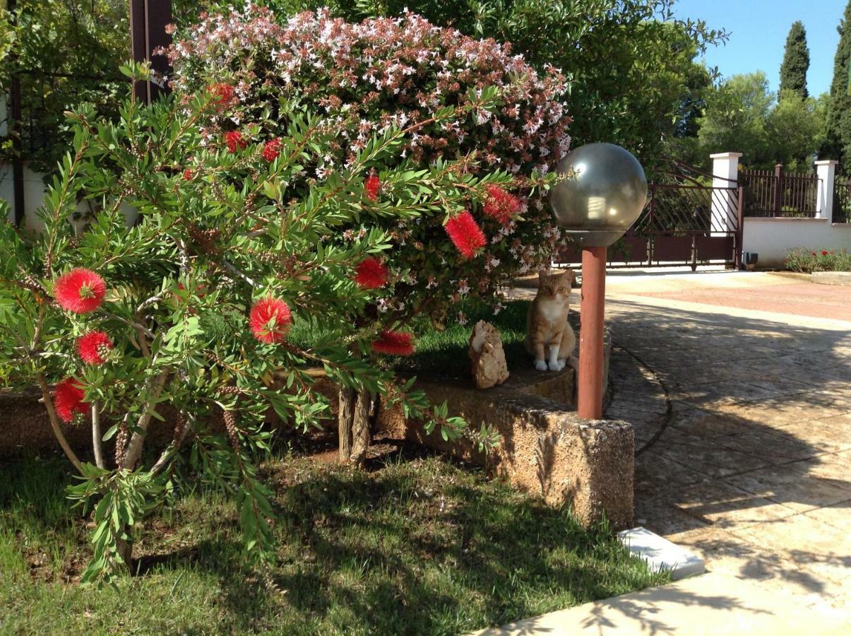 Casa Isabella Daire Pula Dış mekan fotoğraf